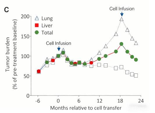 Tumor Neoantigen-Directed Immunotherapy: Paradigm Shifts for Precision Oncology Basic Research