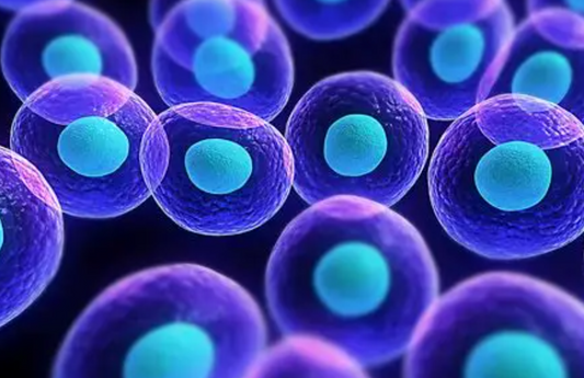 B7-H3 (CD276): An Orphan Immune Checkpoint with Broad Preclinical Targeting Potential