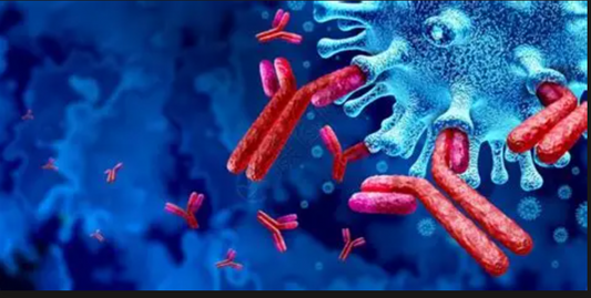Methylation Modifications: Epigenetic Regulators Shaping Pathogenic Progression of Central Nervous System Disorders
