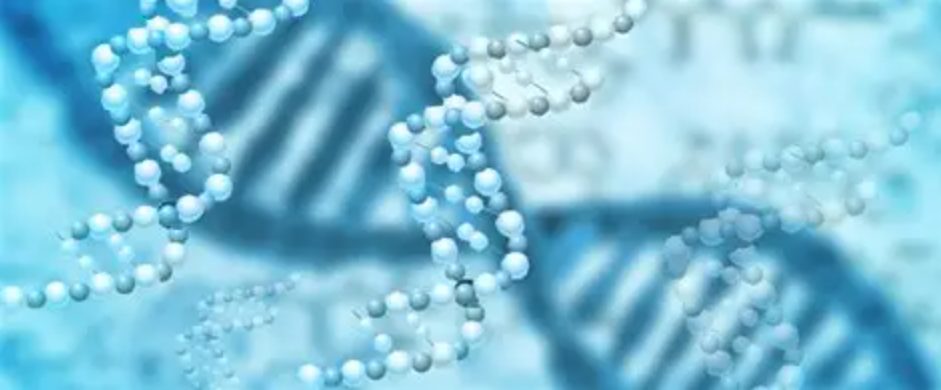 PNGase F: Gold‑Standard Amidase Enzyme for N‑Linked Glycoprotein Deglycosylation Research