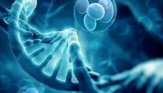 Claudin 18.2 (CLDN18.2): A Lineage-Restricted Surface Target for Gastric Cancer Preclinical Research