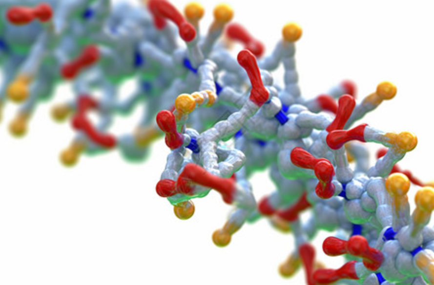 Fumarylation: An Emerging Molecular Hub Linking Cellular Metabolism to Epigenetic Signaling