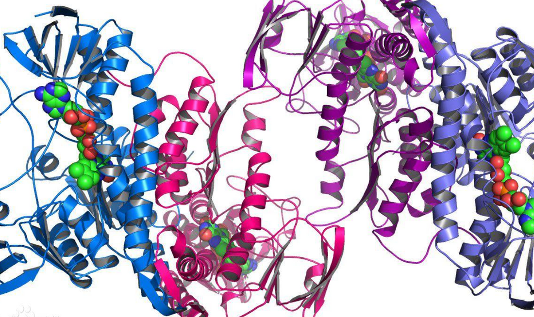 DNA Methylation: The Central Molecular Marker Shaping Modern Epigenetic Basic Research
