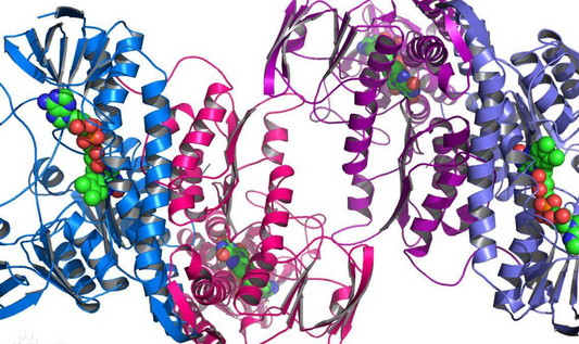 DNA Methylation: The Central Molecular Marker Shaping Modern Epigenetic Basic Research