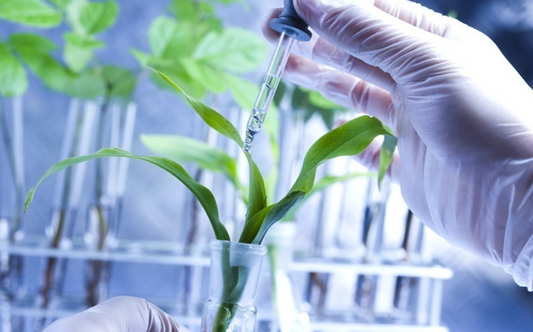 PSMA-Targeted Nanobodies: Innovative Tools Reshaping Prostate Cancer Mechanism Research