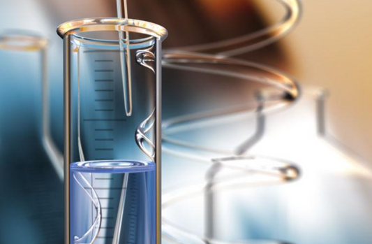 CD163 Biomarkers &amp; Targeted EV Delivery Systems for Vascular Homeostasis Restoration After Spinal Cord Injury