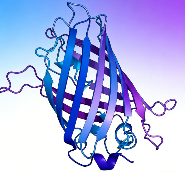 Leveraging GFP‑Fusion Tags and Anti‑GFP Nanobody Beads for Diverse Target‑Protein Basic‑Research