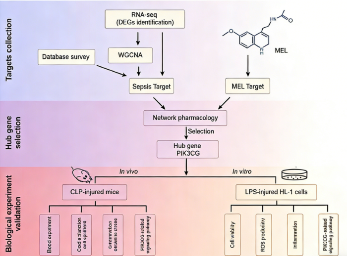 PIK3CG (p110γ): Uncovering Potential Targets for Mechanistic Studies of Sepsis‑Induced Myocardial Injury