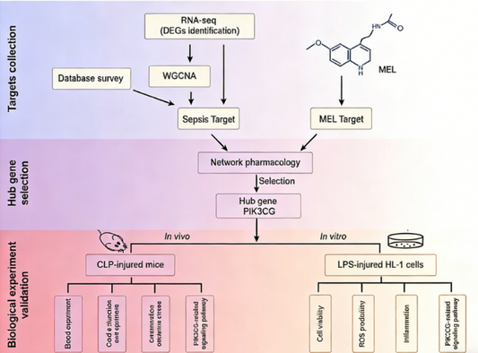 PIK3CG (p110γ): Uncovering Potential Targets for Mechanistic Studies of Sepsis‑Induced Myocardial Injury
