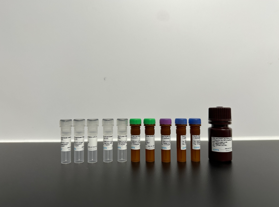 Technical Landscape of PD‑1‑Related Antibody Reagents for Tumour‑Immunology Basic‑Research