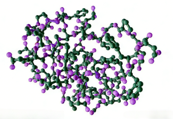 The Insulin‑Like Growth Factor Axis: Molecular Insights for Metabolic‑Related Basic Research
