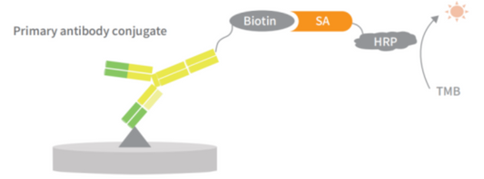 Host‑Cell‑Protein Residue‑Detection Kits: Technical Progress and Biopharmaceutical‑Research‑Oriented Applications