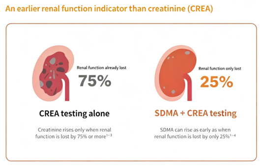 SDMA Agarose Beads: Efficient Affinity Enrichment of an Early Kidney Function Biomarker for Research Applications