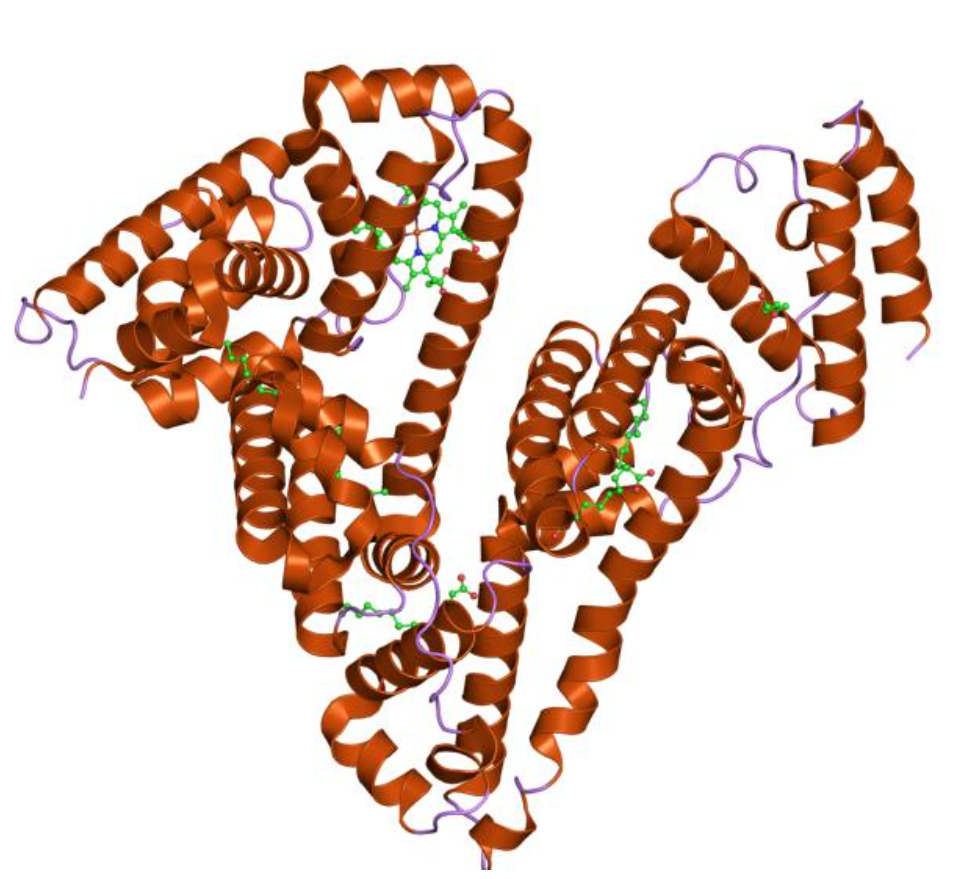Human Serum Albumin ELISA Kit: Accurate Quantification for Biopharmaceutical and Clinical Research