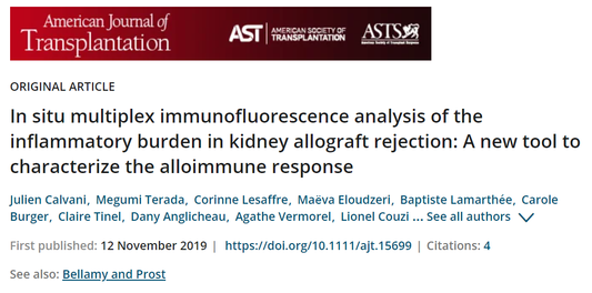 Application of Multiplex Fluorescent Immunohistochemistry (mIHC) in the Evaluation of Organ Transplant Rejection