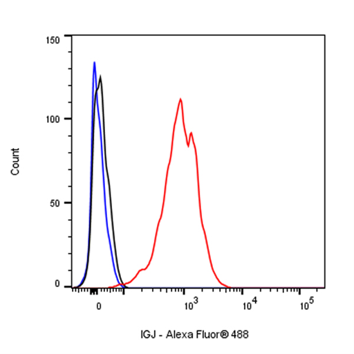 How Do IGJ Antibodies Unravel the Mysteries of Immunoglobulin Structure and Function?