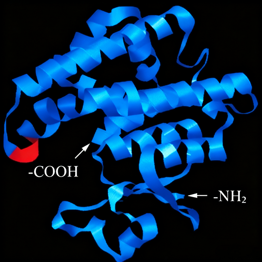 GST-π Antibodies: Empowering Protein Purification and Functional Research Innovation