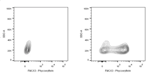 Fibroblast Growth Factor: A Comprehensive Exploration from Basic Biology to Clinical Applications
