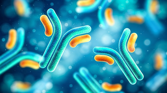 VEGFR2 Neutralizing Antibodies: Core Research Tools to Block Tumor Angiogenesis and Cut Nutrient Supply