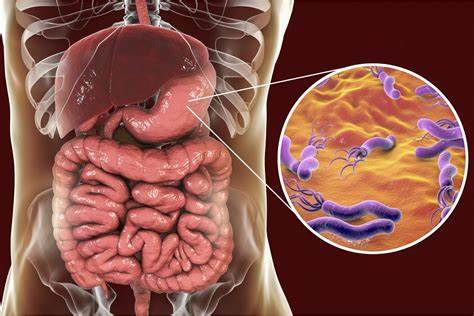 Helicobacter pylori: Carcinogenesis, Resistance and the Evidence That Reshaped the Field