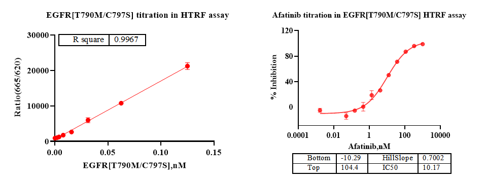 T790M Mutation: Core Resistance Mechanism in EGFR-Mutant Lung Cancer and Advances in Precision Therapy