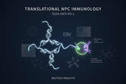 Anti-PD-1 Antibodies: Core Research Reagents for Nasopharyngeal Carcinoma Immunology Studies