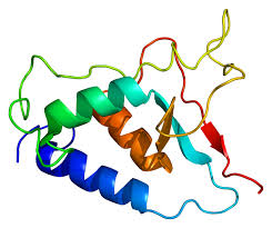 The Central Role of USP15 in Disease Regulation: From Molecular Mechanisms to Therapeutic Potential