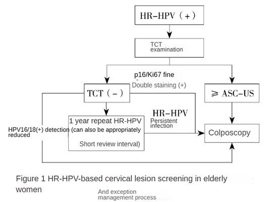 Dual Staining for p16Ki-67: A Precise Approach for the Diagnosis of Cervical Precancerous Lesions