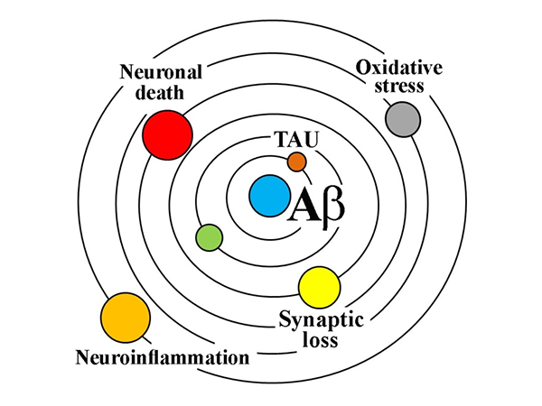 TAU biomarkers: precision diagnosis in Alzheimer's disease