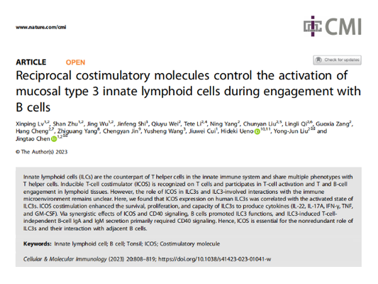 Decoding Immune Cell Communication: Multiplex Fluorescent Immunohistochemical Staining Technology