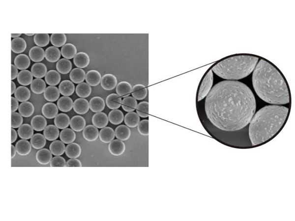 Immune Precipitation (IP/CoIP): Magnetic Beads Method vs. Agarose Beads Method
