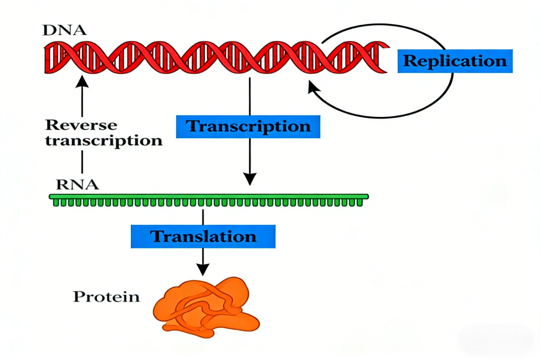 PanModification Microspheres for PTM Proteomics
