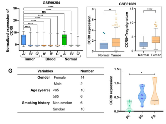 How Does CCR8+Treg Targeted Therapy Overcome PD1 Resistance?