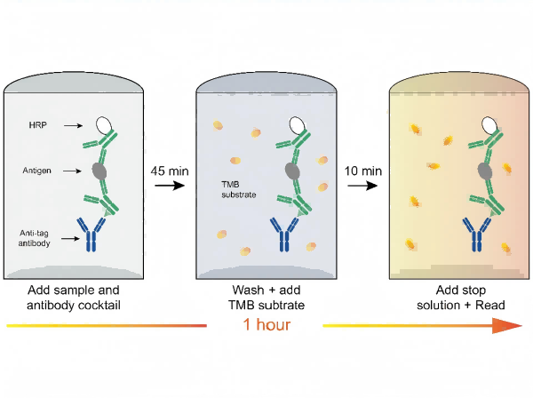 5 - Factor Rapid Detection Challenge: Laboratory 1.5 - Hour Super - Fast Results