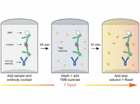 5 - Factor Rapid Detection Challenge: Laboratory 1.5 - Hour Super - Fast Results