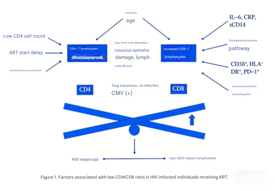 Unveiling T-Cell Immune Balance in Disease Assessment: The Core Value of Mouse CD4 Antibodies by ANT BIO PTE. LTD.