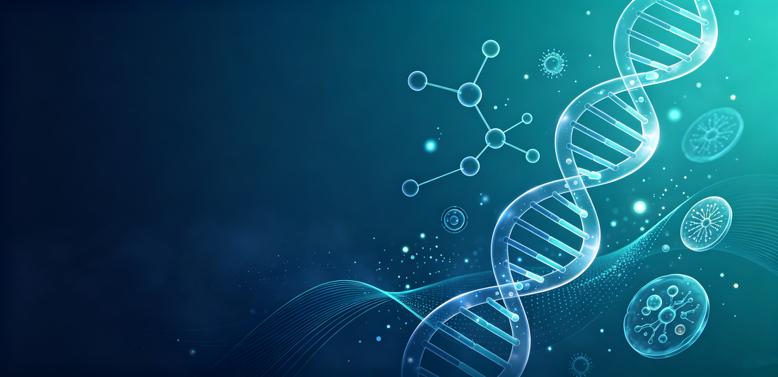 Protein Phosphorylation: Reversible Molecular Switches Governing Diverse Cellular Biological Activities