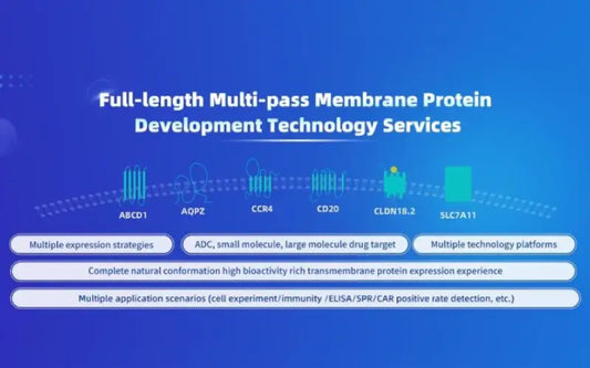 Full-length Multi-transmembrane Protein Development Technology Service