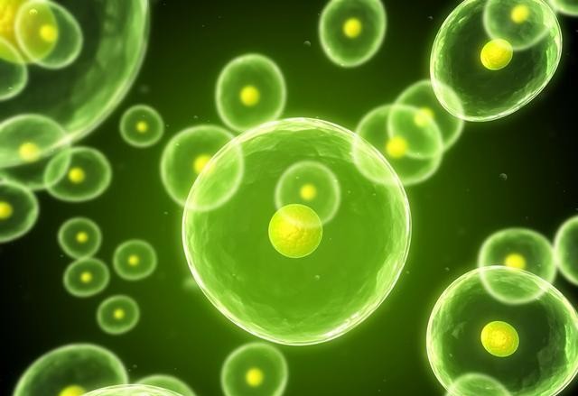 UA-Glo® Glycogen and Glucose Uptake Luminescence Assay Kits: Dual Biochemical Luminescence Platforms for Cellular Metabolism Quantification