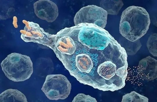 Cytokine Antibodies Decode Regulatory Networks of Autoimmune Diseases