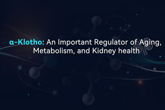 Get Your Special Test Offer for α-Klotho Protein Now!