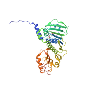 MLH1 and NaPi2b (SLC34A2) as Key Tumor Pathology Targets