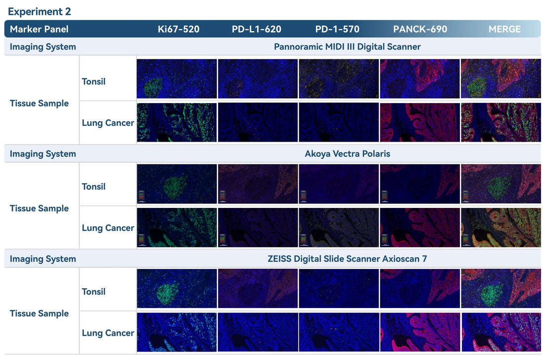 Multiplex Fluorescence Immunohistochemistry (mIHC): Consistent Performance Across Imaging Platforms