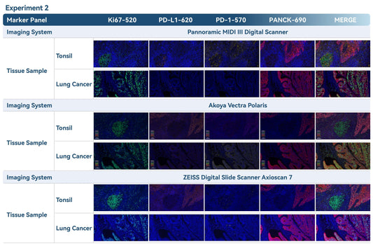 Multiplex Fluorescence Immunohistochemistry (mIHC): Consistent Performance Across Imaging Platforms