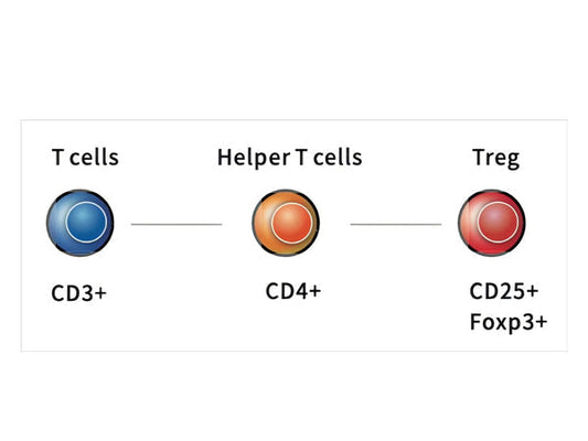 Multi - color Flow Cytometry Mini Panel for TREGs