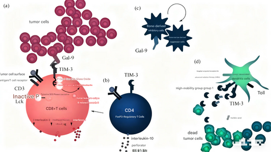 Polyclonal antibodies: How to achieve efficient broad-spectrum detection in complex biological systems?