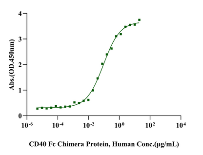 CD40 Fc Chimera Protein, Human