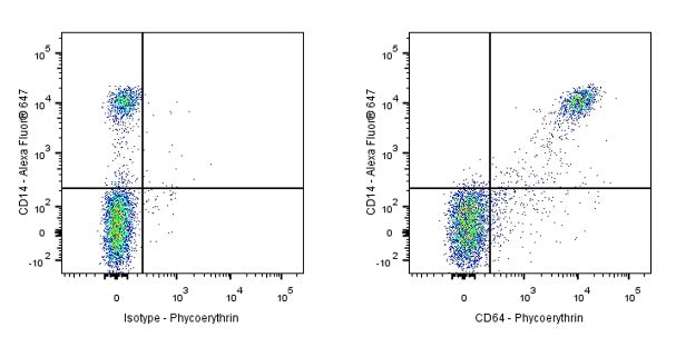 PE Mouse Anti-Human/ Monkey CD64 Antibody (10.1)