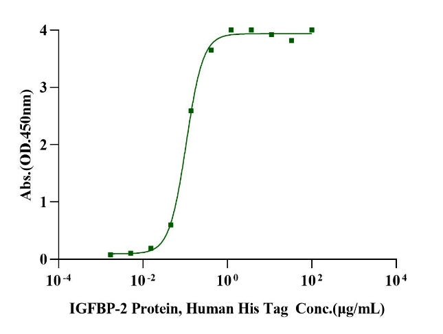 IGFBP-2 His Tag Protein, Human