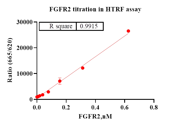 FGFR2 Protein